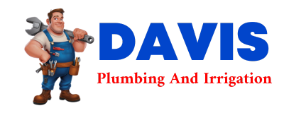 Trusted plumber in DAVIDSONVILLE